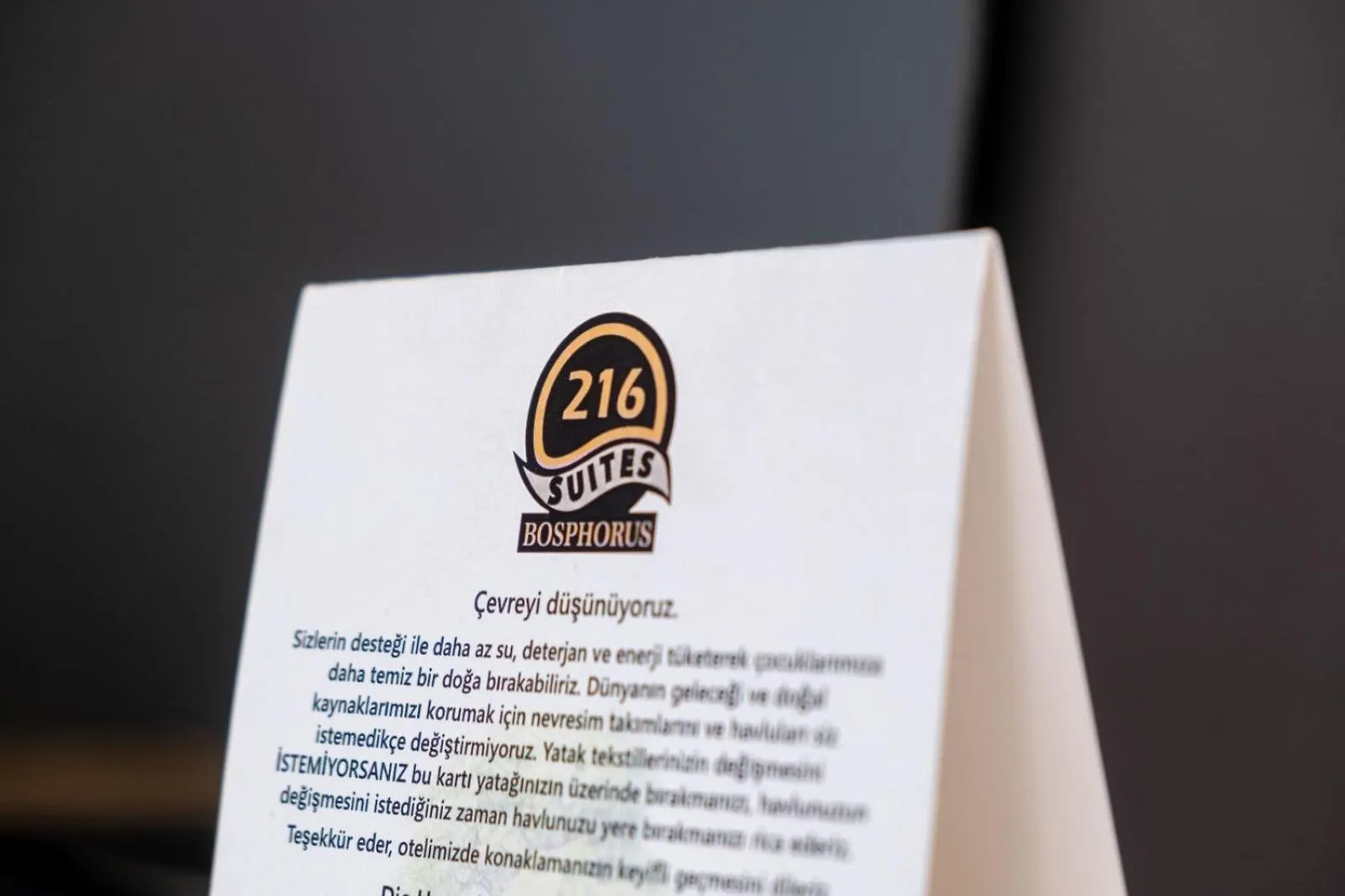 216 Bosphorus Suite Istambul Hotel
